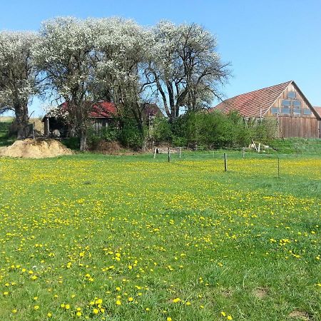 Вилла A-Sissy-Hof Bischofstetten Экстерьер фото