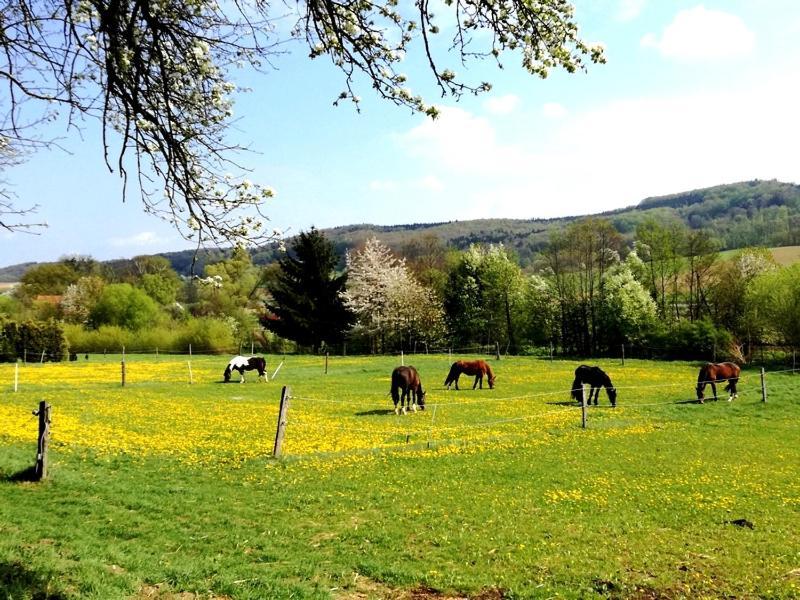 Вилла A-Sissy-Hof Bischofstetten Экстерьер фото