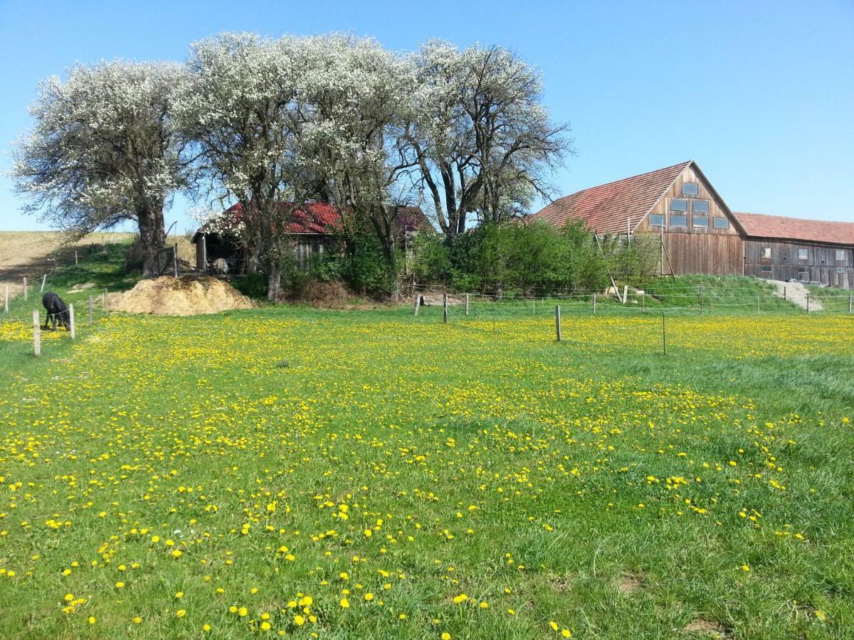 Вилла A-Sissy-Hof Bischofstetten Экстерьер фото